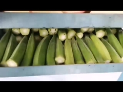 เครื่องเป่าแห้งแบบบ้าน