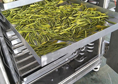 เครื่องแห้งแข็ง เครื่องแห้งแข็ง เครื่องแห้งแข็ง ถอนน้ํา เครื่องแห้งแข็งอาหารแห้ง เครื่องแห้งแข็ง