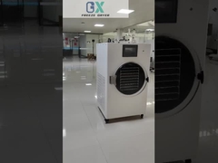 เครื่องซักแห้งแบบแช่แข็ง