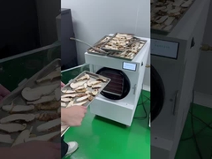 ผลไม้อบแห้งแบบแช่เยือกแข็ง