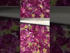 เครื่องแห้งแบบต้มแข็งที่บ้าน ใช้ง่าย ประหยัดพลังงาน และเหมาะกับครัว