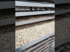 ชม: สร้างขึ้นเพื่อความทนทาน: ตู้โชว์การประมวลผลเครื่องทำแห้งแช่แข็งทางอุตสาหกรรมที่ต้องบำรุงรักษาต่ำ