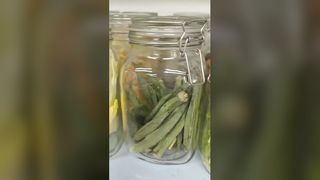 Home Freeze Dryer ความสดใหม่ 25 ปี