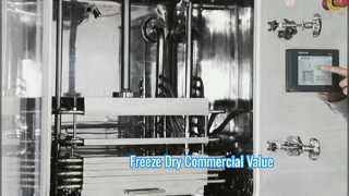 ตู้อบแช่แข็งอุตสาหกรรม ชั้นวางสูงสุด 100KG