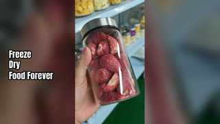 Home Freeze Dryer ถนอมอาหารให้สดใหม่