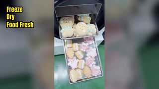 เครื่องแห้งแบบต้มแข็งในบ้านสําหรับการรักษาอาหาร