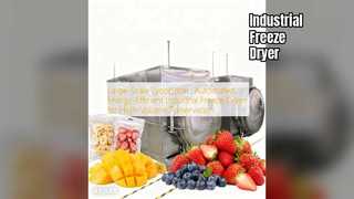 เครื่องทําแห้งแช่แข็งอุตสาหกรรม: การเก็บรักษาปริมาณมาก