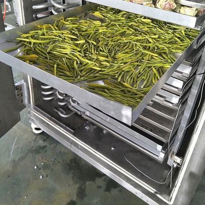 เครื่องแห้งอาหารอุตสาหกรรมแบบเย็น 200 กิโลกรัม/ชุด