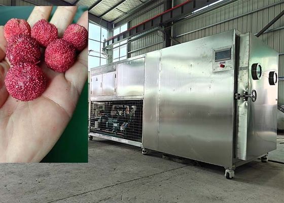 เครื่องแห้งแบบเย็นอาหารแบบ Lyophilizer อัจฉริยะ 200KG