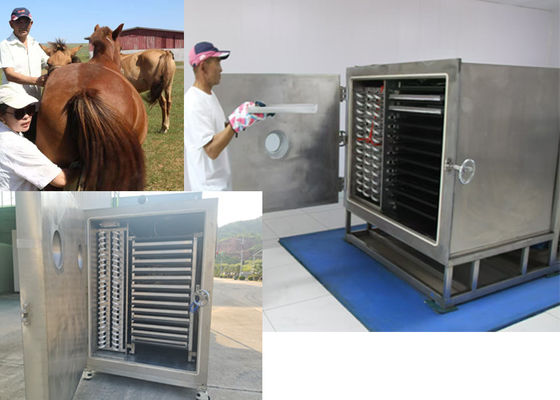 เครื่องแห้งผักแบบต้มเย็นแบบแวคิวัม พร้อมหน่วยเย็น Bitzer