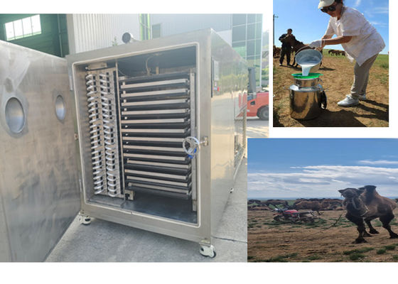 เครื่องทําผลไม้แห้งแบบคอมแพคต์ ด้วยระบบเย็น