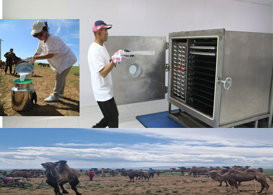 หรือ Leybold Compressor เครื่องเย็นผลไม้แห้ง