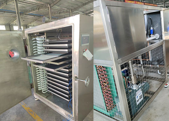 เครื่องปรุงรักษาอาหาร เครื่องแห้งอาหารแบบฟรีซอร์ 300Kg
