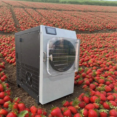 เครื่องอบแห้งแบบเยือกแข็งเชิงพาณิชย์พร้อมสแตนเลสสตีล 304 และปั๊ม Bosch - เครื่องอบแห้งแบบเยือกแข็งประสิทธิภาพสูง