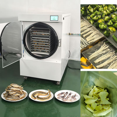 Mini Freeze Dryer with Intelligent System Remote Control and Compact Design