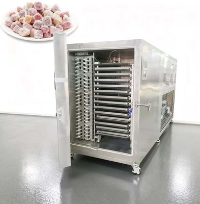 100KG Industrial Lyophilizer - High Efficiency Commercial Freeze Dryer with Precise Temperature Control