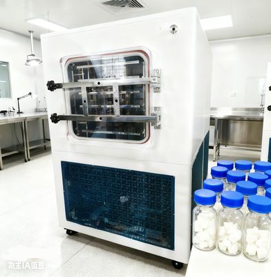 Pharmaceutical Lyophilizer: cGMP Design & Automated Hydraulic System for Sterile Processing