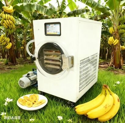 อาหารว่างที่สุขภาพดี ทําให้ง่าย ผลไม้แห้งแข็ง โยเกิร์ต และอื่นๆ ที่มีสิทธิเก็บเกี่ยว ไม่มีสารเสริม ทุกอย่างควบคุม