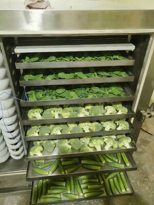 อุตสาหกรรมไฟฟ้าที่ทําความร้อน เครื่องแห้งแบบแช่แข็ง ขนาด 12700x2600x3300 มม และเวลาแห้ง 20 ถึง 24 ชั่วโมง เหมาะสําหรับอุตสาหกรรม