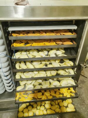 BITZER ตําแหน่งหน่วยเย็น เครื่องแห้งแบบต้มแข็ง ความจุ 200KW อุปกรณ์แห้งแบบต้มเย็นสําหรับอุตสาหกรรมอาหารและสารเคมี