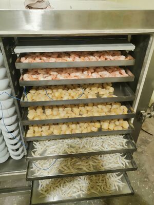 เครื่องอบแห้งแบบแช่แข็งอุตสาหกรรมอัตโนมัติ ความจุ 1000 กก. เหมาะสำหรับการถนอมอาหาร ยา และผลิตภัณฑ์เคมี